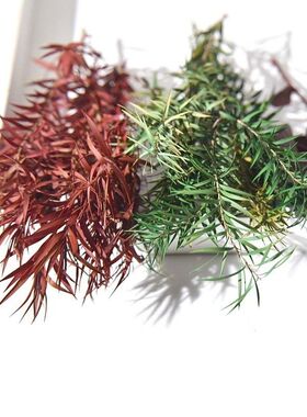 永生花千层金干花配草香薰蜡烛圣诞花环藤圈点缀材料Diy居家装饰