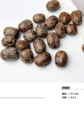 【花纹果】天然植物果实手工diy幼儿环创教育标本收集相框香薰
