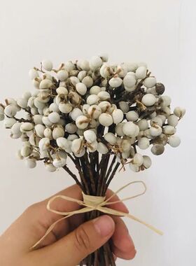 天然小白果乌桕果干花diy手作花环搭配花材白色小清新装饰100克装