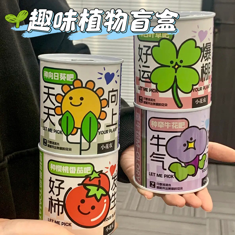 小盆栽儿童种植diy幼儿园植物角生长观察室内小学生自种趣味盲盒 - 图3