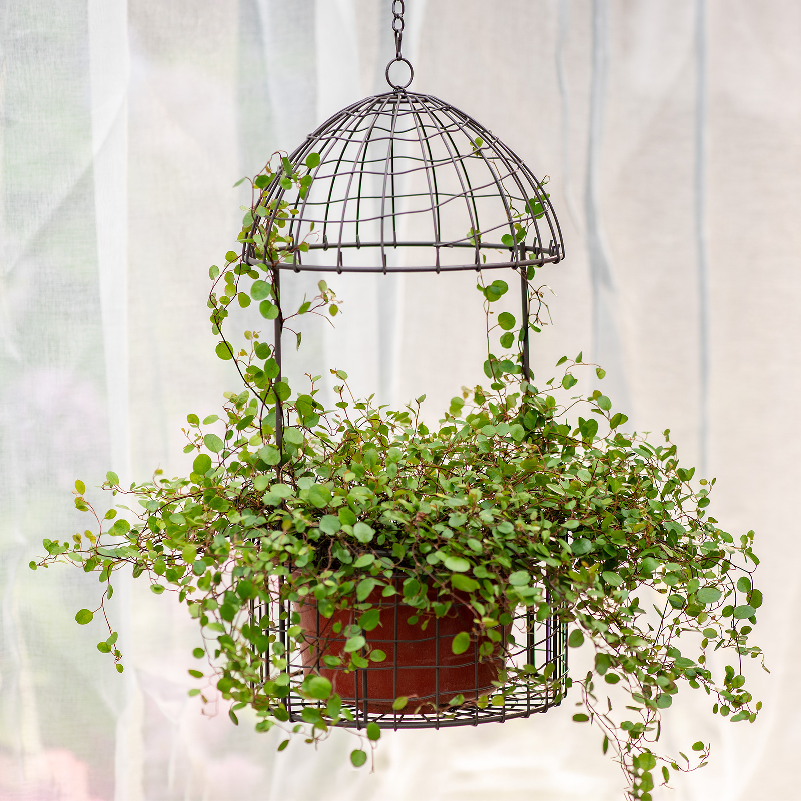 铁艺鸟笼大号吊篮户外花园装饰挂盆吊盆ins风花园杂货垂吊饰品 - 图3