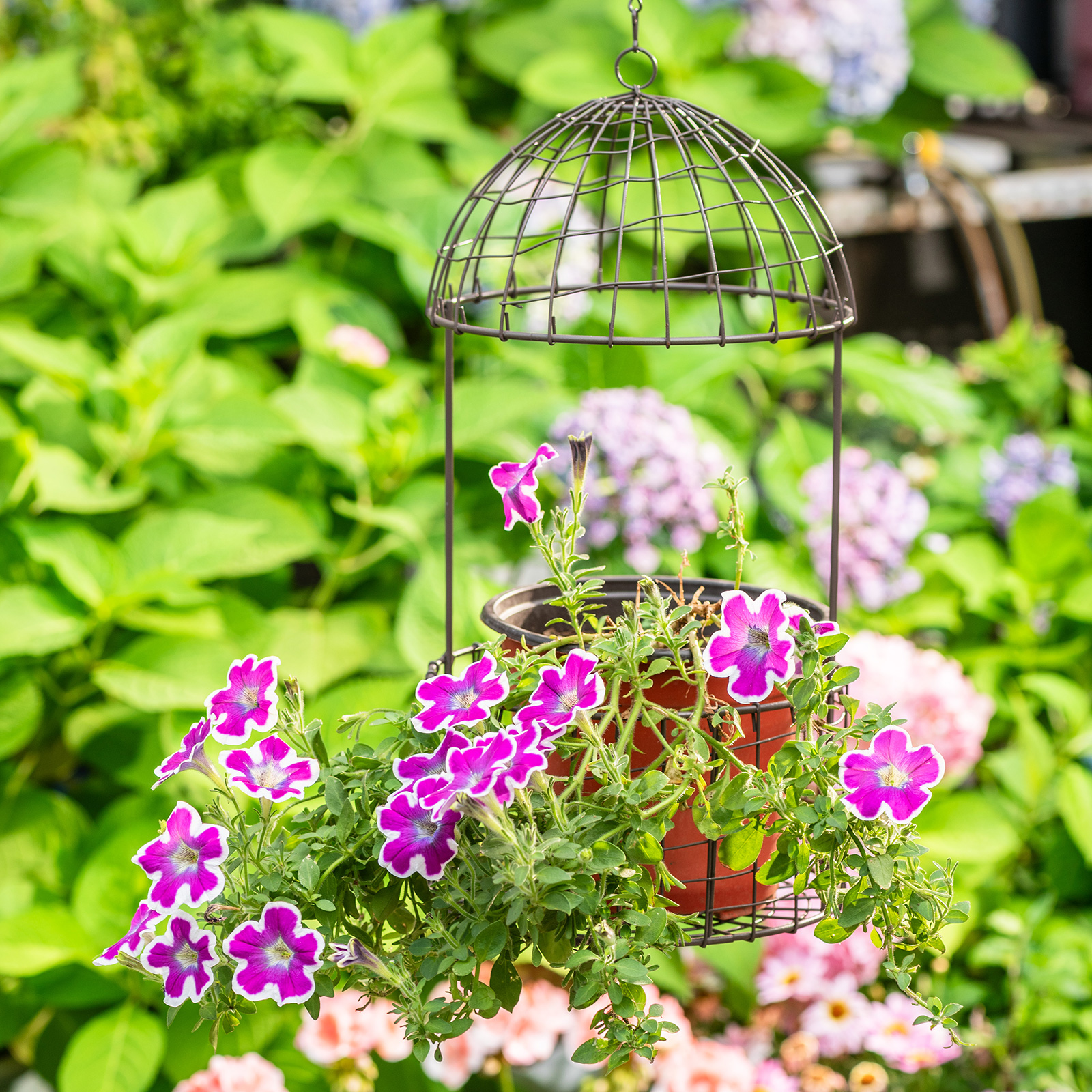 铁艺鸟笼大号吊篮户外花园装饰挂盆吊盆ins风花园杂货垂吊饰品 - 图2