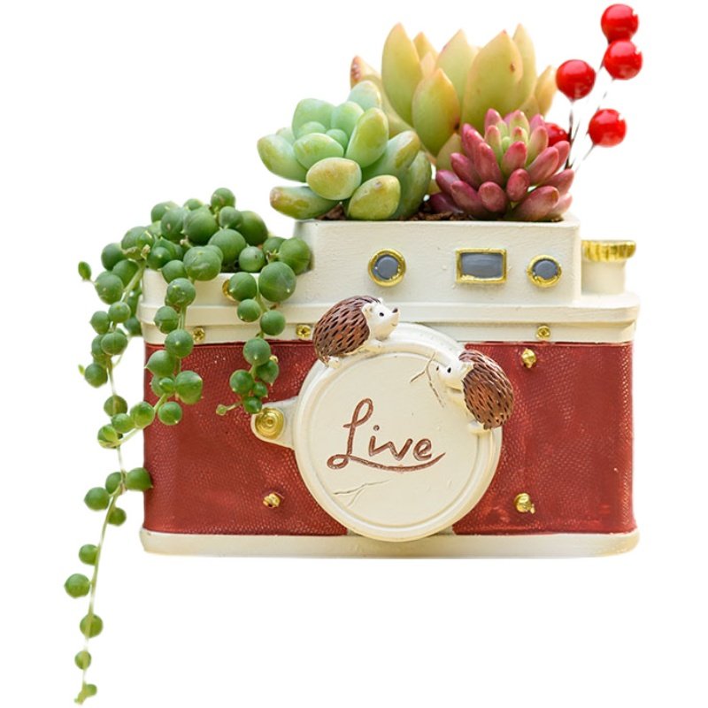创意复古老物件装饰摆件电视机照相机情绪稳定花盆治愈多肉小盆栽,淘宝优惠券,粉丝福利购,淘宝优惠卷