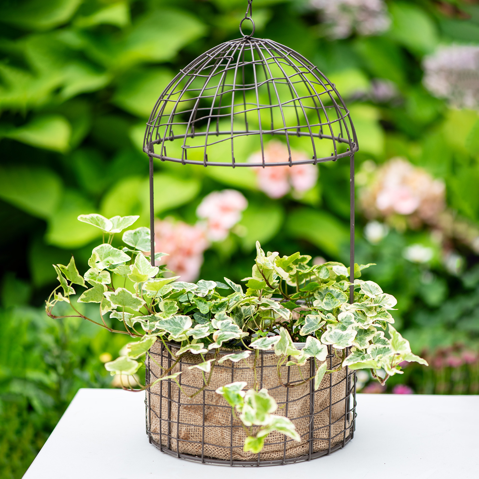 铁艺鸟笼大号吊篮户外花园装饰挂盆吊盆ins风花园杂货垂吊饰品 - 图1