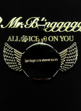 Mr.Bling定制天使之翼从相框吊坠