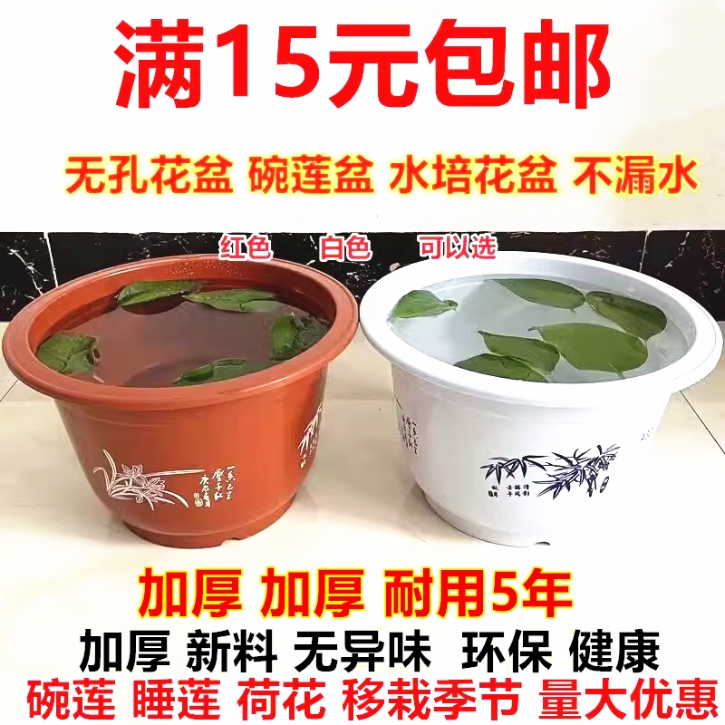 碗莲盆睡莲盆 塑料无孔花盆 不漏水大号圆形水培荷花植物水生花卉