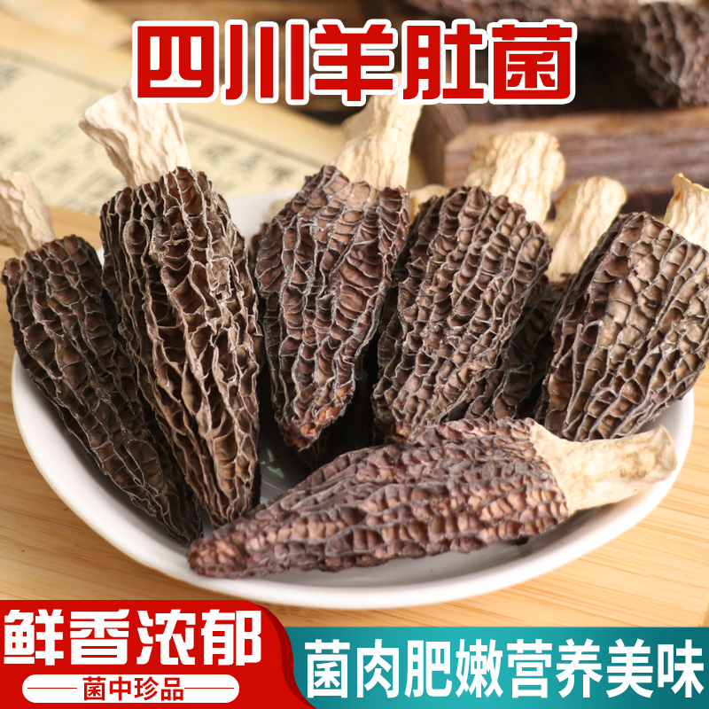 2024头茬羊肚菌干货3-6精选家庭装菌菇汤料煲汤食材 - 图0