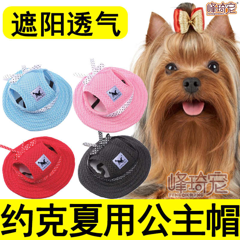 狗狗露耳朵 新人首单立减十元 21年7月 淘宝海外