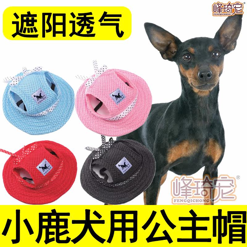 小狗狗帽子露耳朵 新人首单立减十元 21年10月 淘宝海外