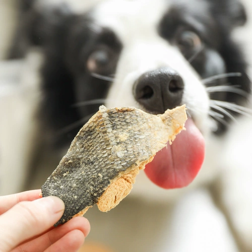 Рыбацкий рыбак Рыба Ранчо Рыбац