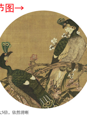 明陆治《梅花孔雀》客厅墙壁茶室装饰画挂画玄关水墨高清挂轴字画