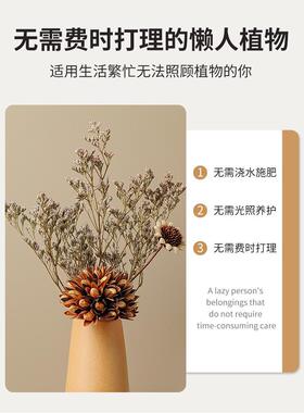 治愈系干花花瓶小摆件客