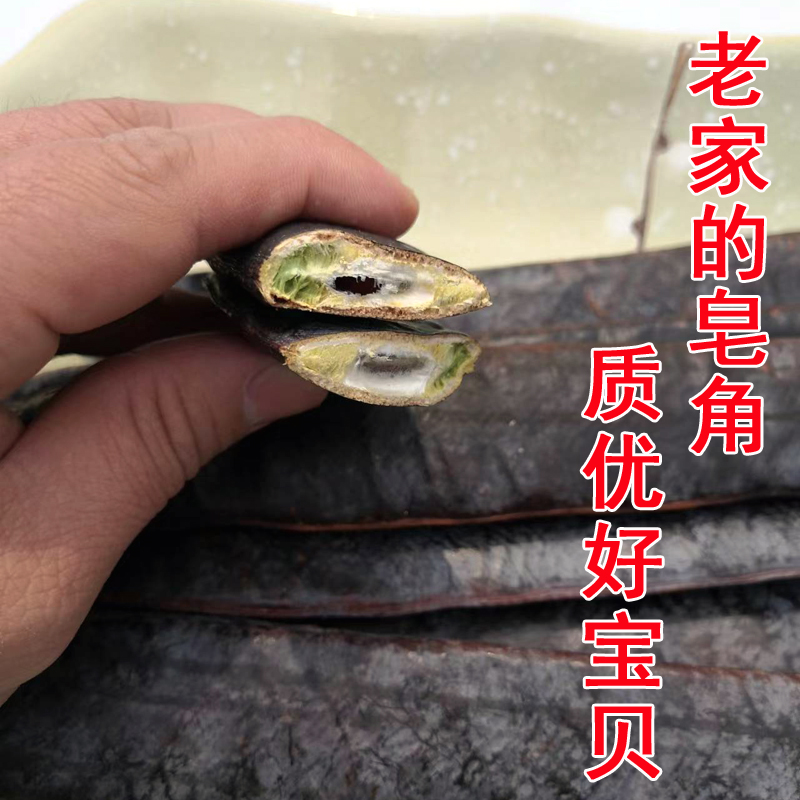 新货野生大皂角 中药材干整长皂角粉皂荚段 白脱发天然洗发水无硫 - 图1