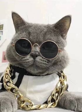 抖音宠物仿金项链狗狗大金链子猫咪项链项圈恶霸犬泰迪法斗蓝猫