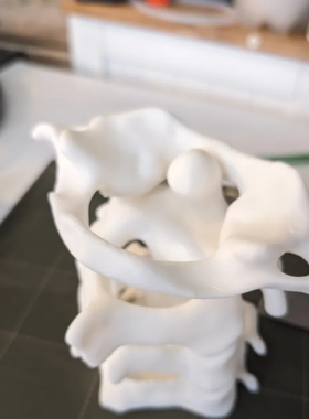 3D打印创意骨骼模型笔筒