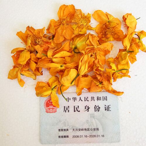 金莲花 内蒙古自治区呼伦贝尔T然野生非金莲花茶非特级润喉新货 - 图1