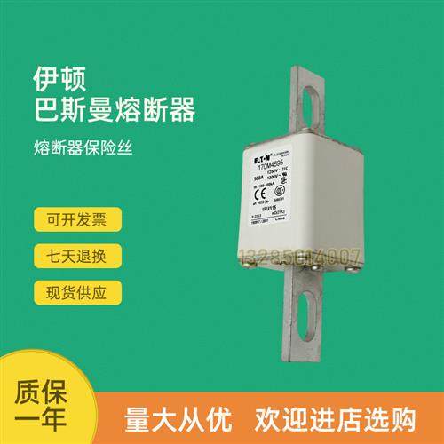 全新快速熔断器保险170M4690 170M4691 170M4692 170M4693 - 图0
