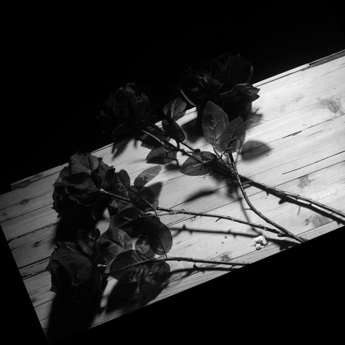 黑色仿真玫瑰花 黑暗jk写真拍照摄影道具 哥特黑玫瑰假花花束装饰 - 图1