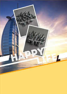 旭铭易工全自动糊盒机粘盒机六角扳手压花滚花十字孔螺丝20MM*8MM