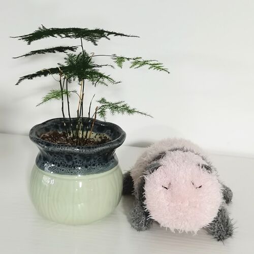 正版pandaway熊猫带路毛绒玩具仿真基地母子熊猫公仔儿童生日礼物 - 图0