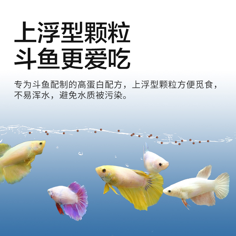 斗鱼饲料泰国中国斗鱼专用热带鱼食增色高蛋白饲料上浮型鱼粮 - 图1
