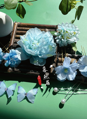 9.9十件套绢花簪花新款超仙轻奢中国风百搭汉服头饰古代唐宋明制