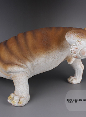 创意英国斗牛犬趣味摆件装饰品