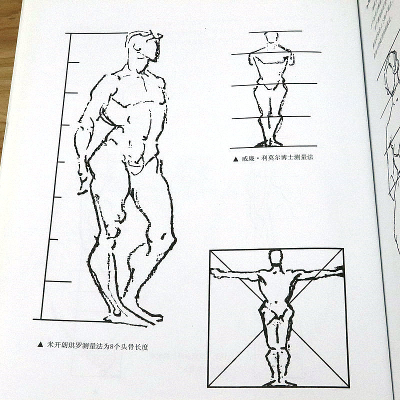 【包邮】跟伯里曼学画人体结构教学绘画头手骨骼肌肉力素描动态写生速写入门教程艺用解剖学笔记路米斯经典美术课应用手帖书籍-图2