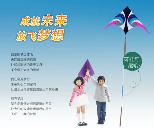 Скай -глаз зонтик воздушных змеев Weifang Big Kite Kite Brand может повесить свет и повесить хвостовую треугольную воздушную почту бесплатную доставку