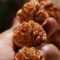 Wild small walnut armed with Beijing Eight-seamed large handheld Longridge backbarking Wang Long with 18 handheld boutique good goods