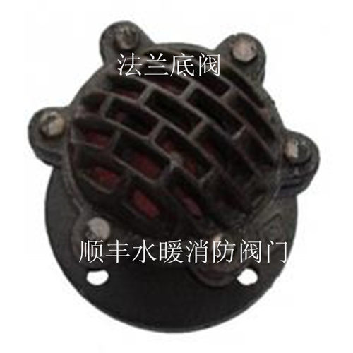 H42X -6法兰底阀 水泵头 水泵花篮 抽水吸水底阀 污水处理底阀 - 图0