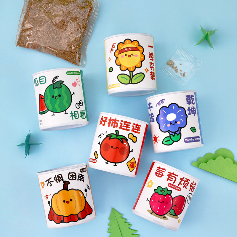 创意种植盆栽幼儿园礼物小礼品全班生日伴手礼儿童小学生奖励奖品