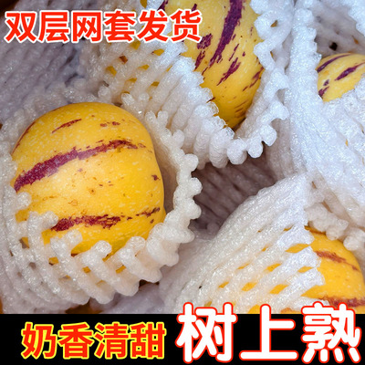 石林树熟人参果【果面未清洗，果皮轻花个人认知大小不售后】