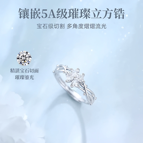 四叶草S999纯银戒指女2026新款轻奢小众设计高级感生日礼物送女友 - 图2