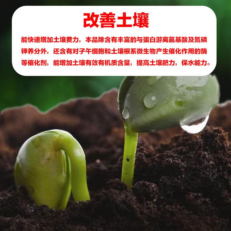 有机水溶海藻肥沃根绿叶膨果钾果树蔬菜膨果生根壮苗土壤花卉通用 - 图0