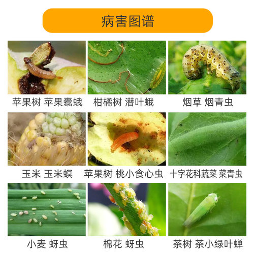 拜耳敌杀死溴氰菊酯250ml 果树植物蔬菜菜青虫蚜虫专杀农药杀虫剂 - 图1