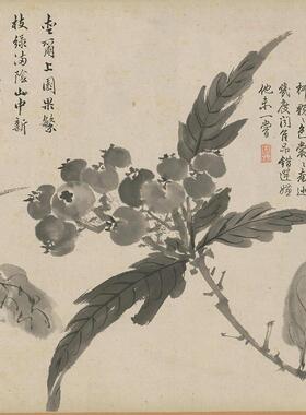 百花图国画仿古字画高清复制品