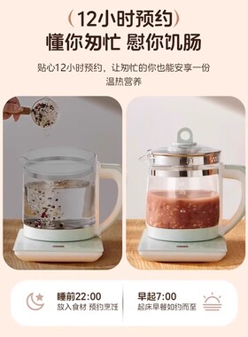 半球养生壶办公室小型煮茶壶全自动玻璃煮茶器家用多功能煮烧水壶