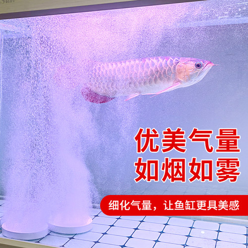 森森纳米气盘鱼缸爆氧气泡石超静音增氧氧气泵配件细化器气石雾化 - 图2