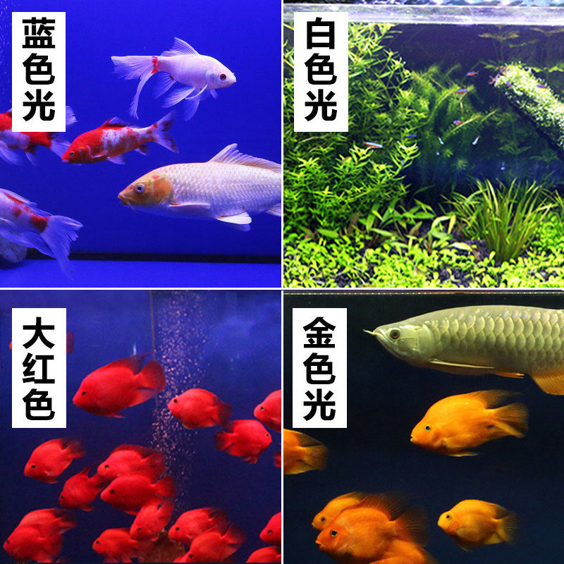 森森鱼缸专用T8 LED三基色防水龙鱼缸灯管水族箱 草缸造景LED灯 - 图2