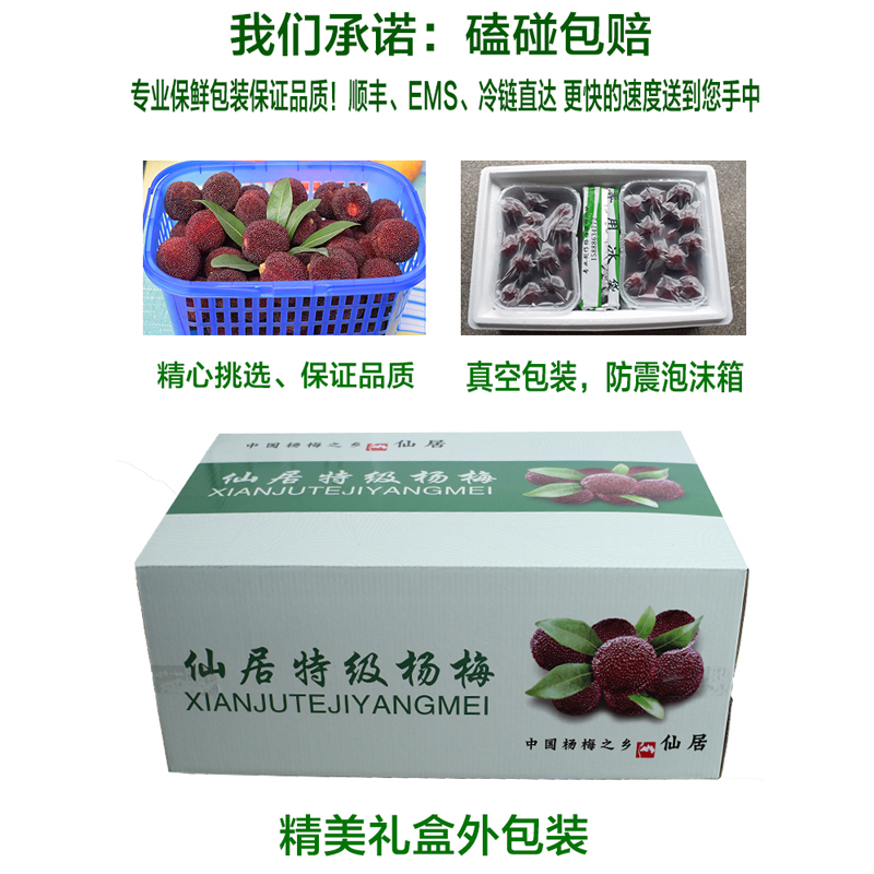 仙居杨梅一号店正宗仙居杨梅新鲜孕妇水果现摘现发高山东魁7斤装包邮整箱10斤甜3