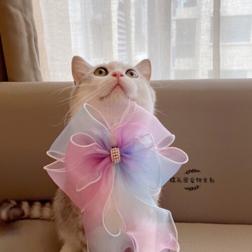 新品包邮韩式丝带蝴蝶结宠物装饰狗狗领结猫咪波浪边蕾丝饰品项圈 - 图0