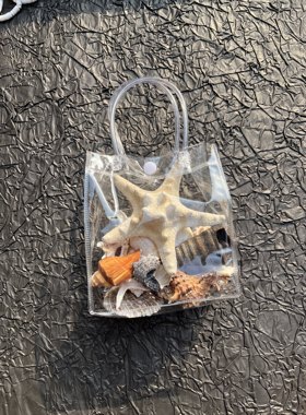 原生贝壳海螺海星伴手礼青岛纪念品栈桥旅游纪念礼品袋水族箱底沙