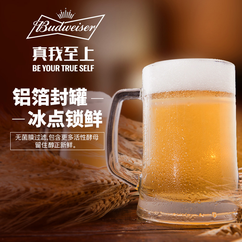 Budweiser/百威啤酒纯生500ml*18罐啤酒聚会啤酒整箱包邮家庭聚会 - 图2