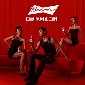 【直播专享】百威啤酒红罐450ml*20听经典醇正拉格9.7°P整箱装