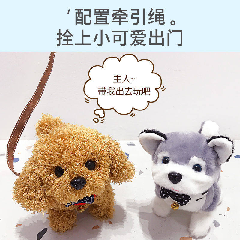 可爱仿真泰迪狗毛绒玩具狗狗公仔小狗布娃娃汽车玩偶儿童女生礼物 - 图1