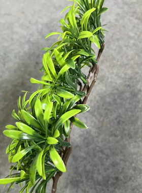 仿真罗汉松松枝盆栽插花