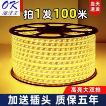 Led lamp with outdoor waterproof 220v Living room external wall special engineering outdoor warm light white warm color high pressure