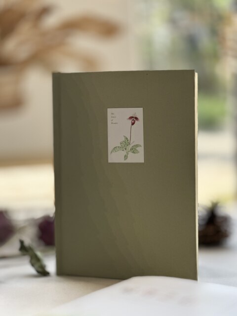 Genuine hardcover丨The heart of wonder (including hand-drawn illustrations) 