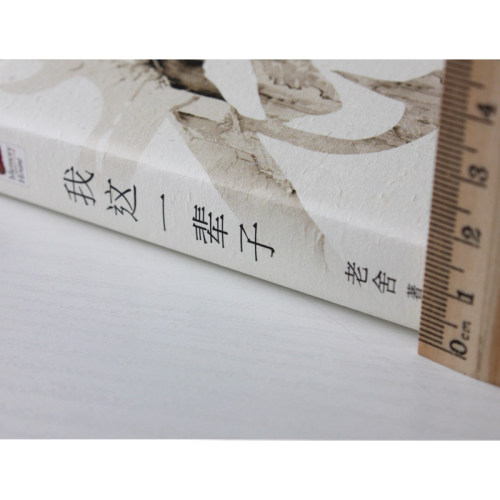 正版｜我这一辈子 老舍小说选集 青少年中小学成人文学读物书 收录《我这一辈子》《月牙儿》《断魂枪》《正红旗下》等 - 图0